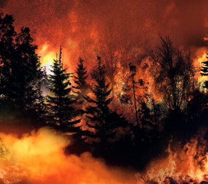 Antarctica-wildfires.jpg