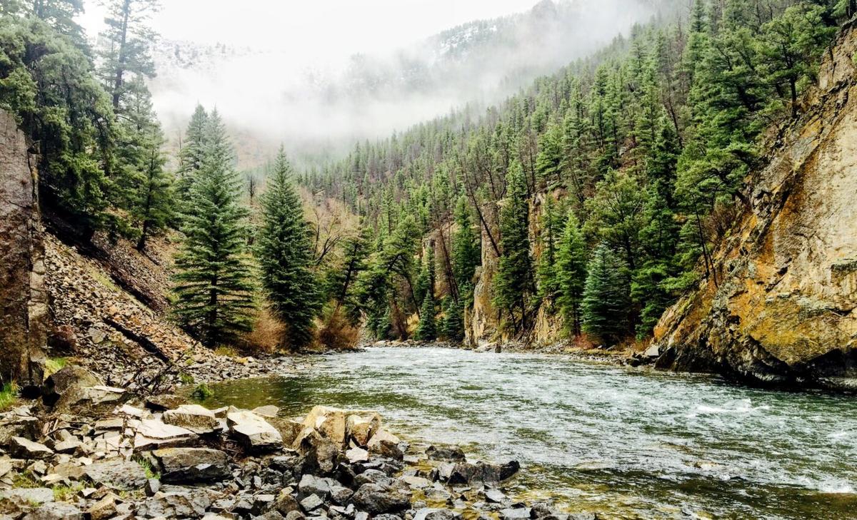 Rivers in the American West are a lifesaving resource for birds