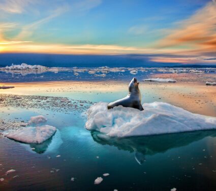 Greenland-ice.jpg
