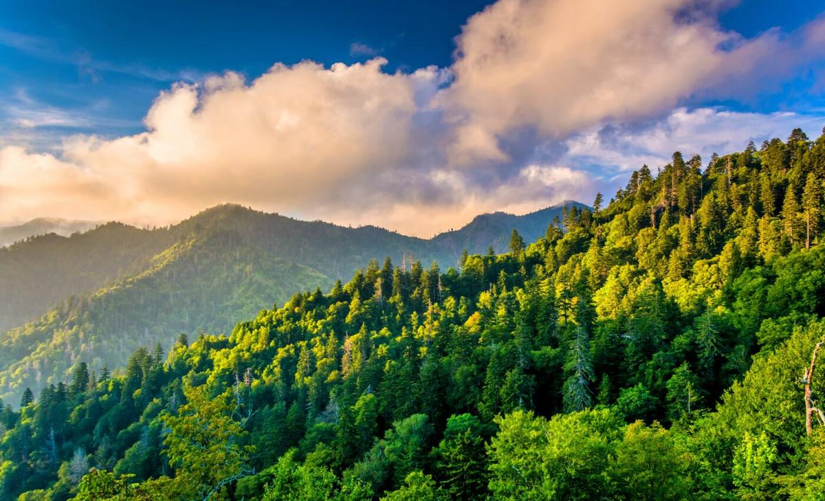 Mountaintop removal mining affects endangered species