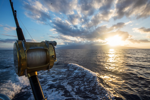 Everything You've Wanted to Know About Deep-Sea Fishing