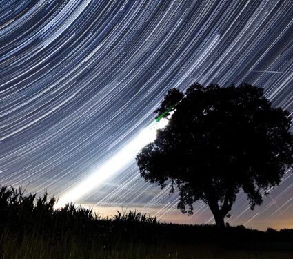 Beautiful,Star,Trail,Image,During,The,Night,Of,The,Perseid