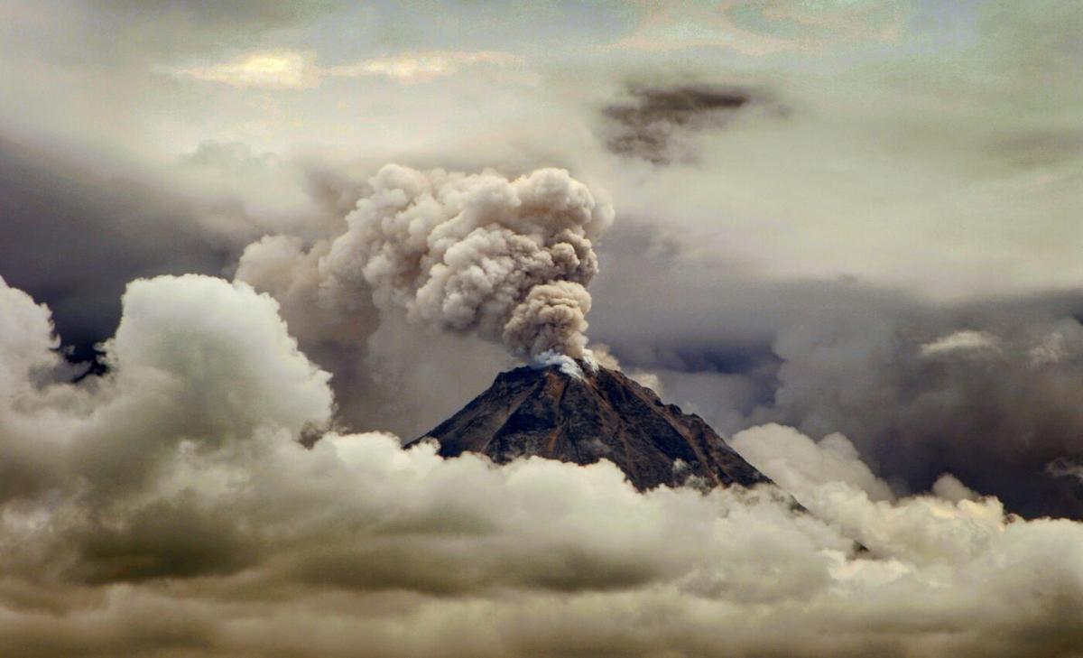 New clues emerge in mass extinction mystery