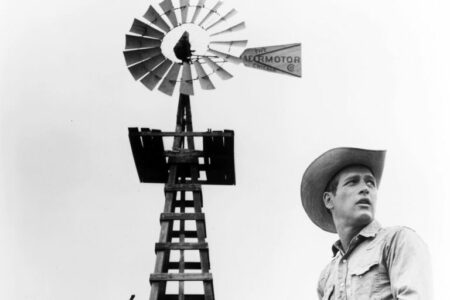 2021/11/PaulNewmanwindmill-768w.jpg