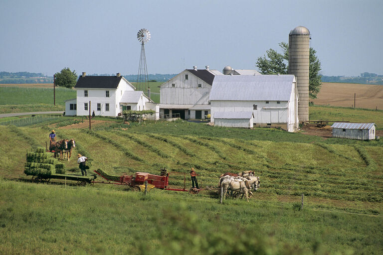 Machine sheds