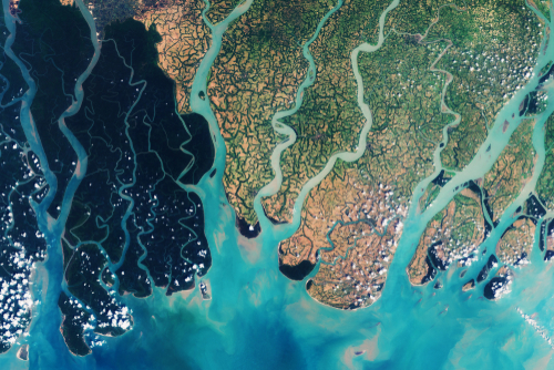 The Magical, Mystical World of Sundarbans