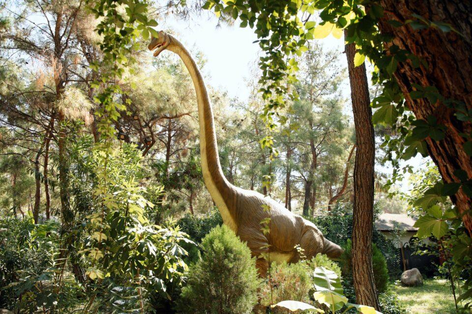 Supersaurus may be the longest dinosaur ever discovered