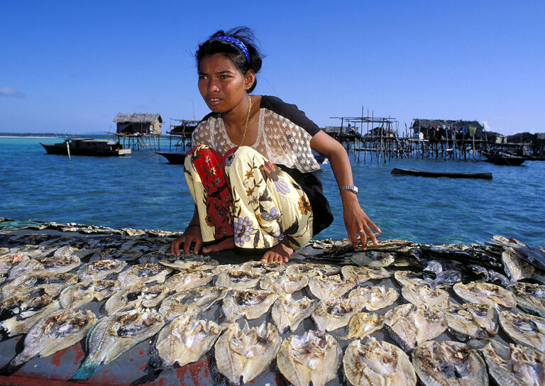 Living Of The Sea