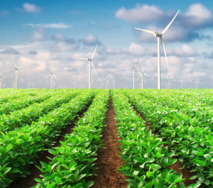 Wind,Power,Station,On,Field.,Ecological,Energy,Concept