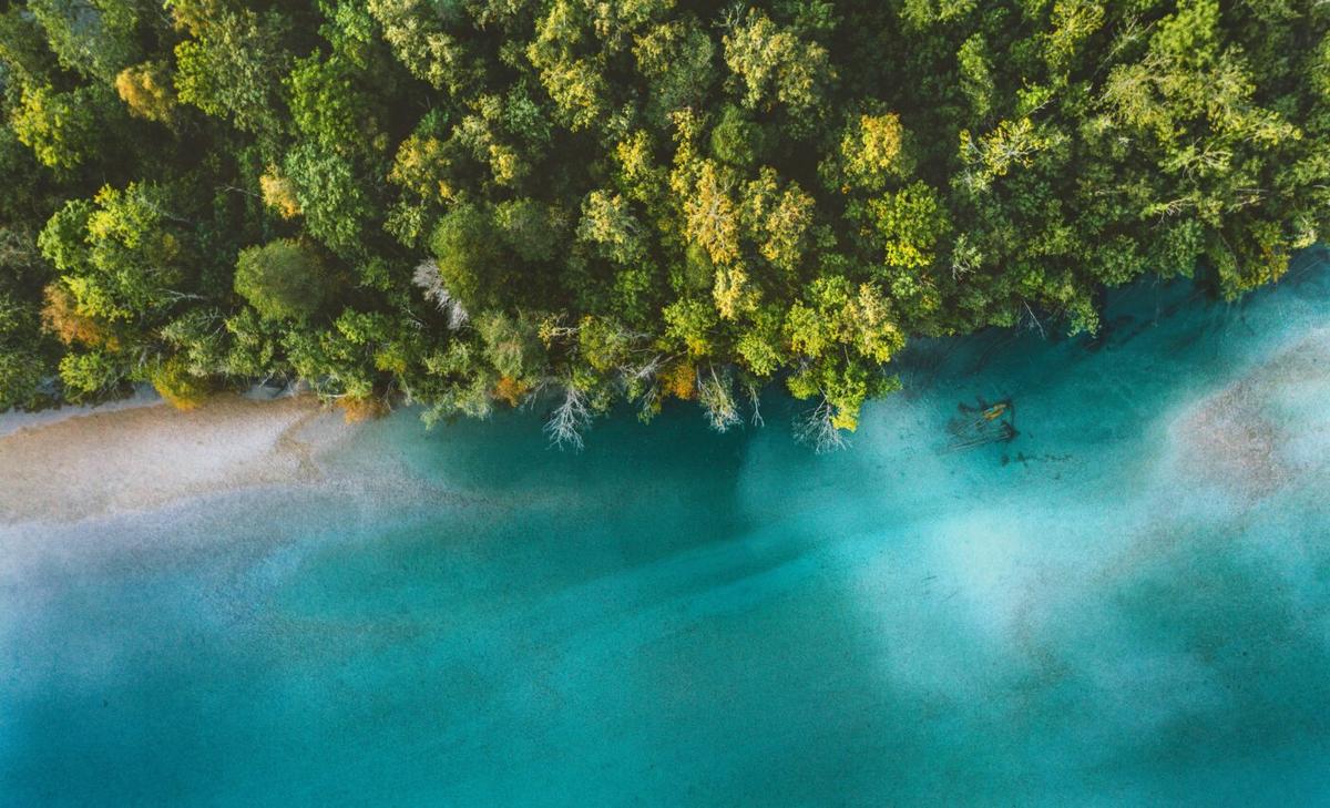 Ocean wilderness areas are living time machines