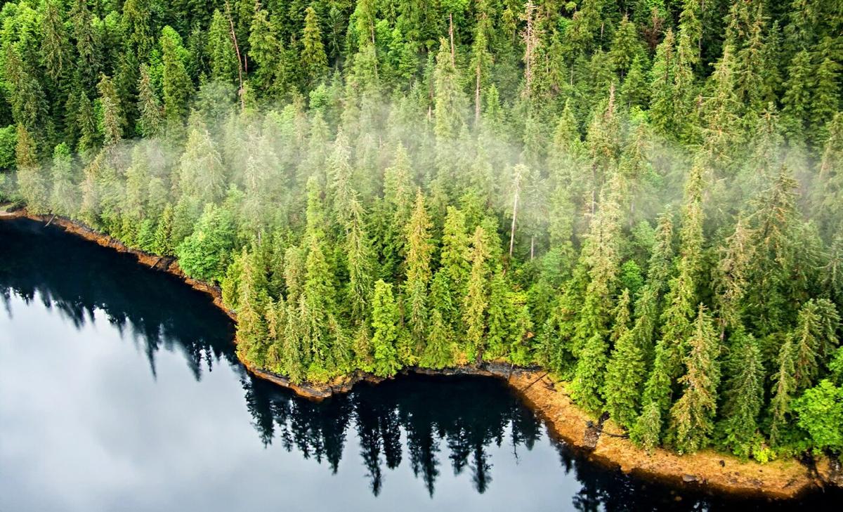 Hunters and anglers approve of new plan for the Tongass