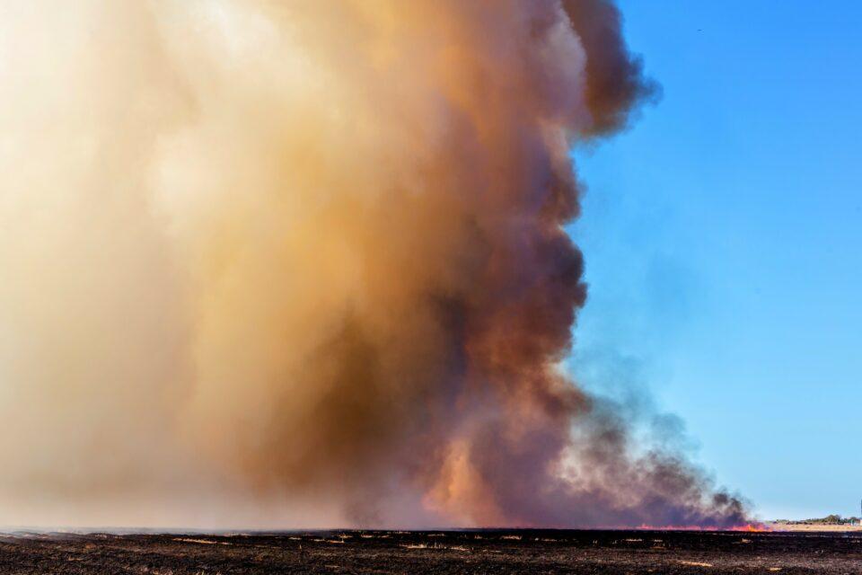 Extinction of ancient grazers changed fire regimes