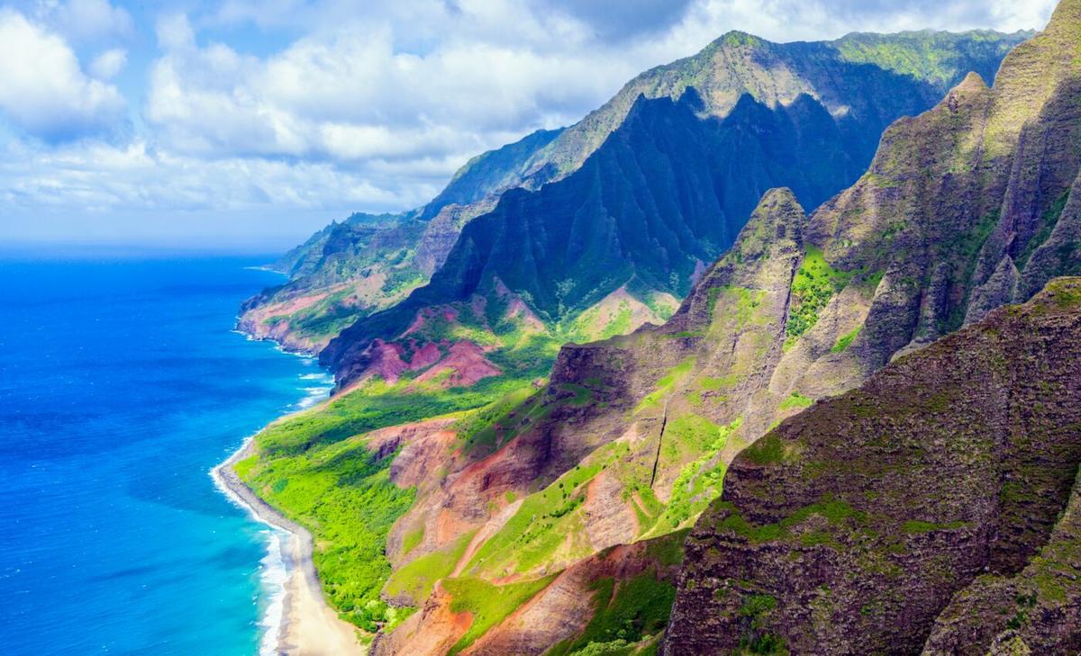Explosion in ocean life triggered mountain formation