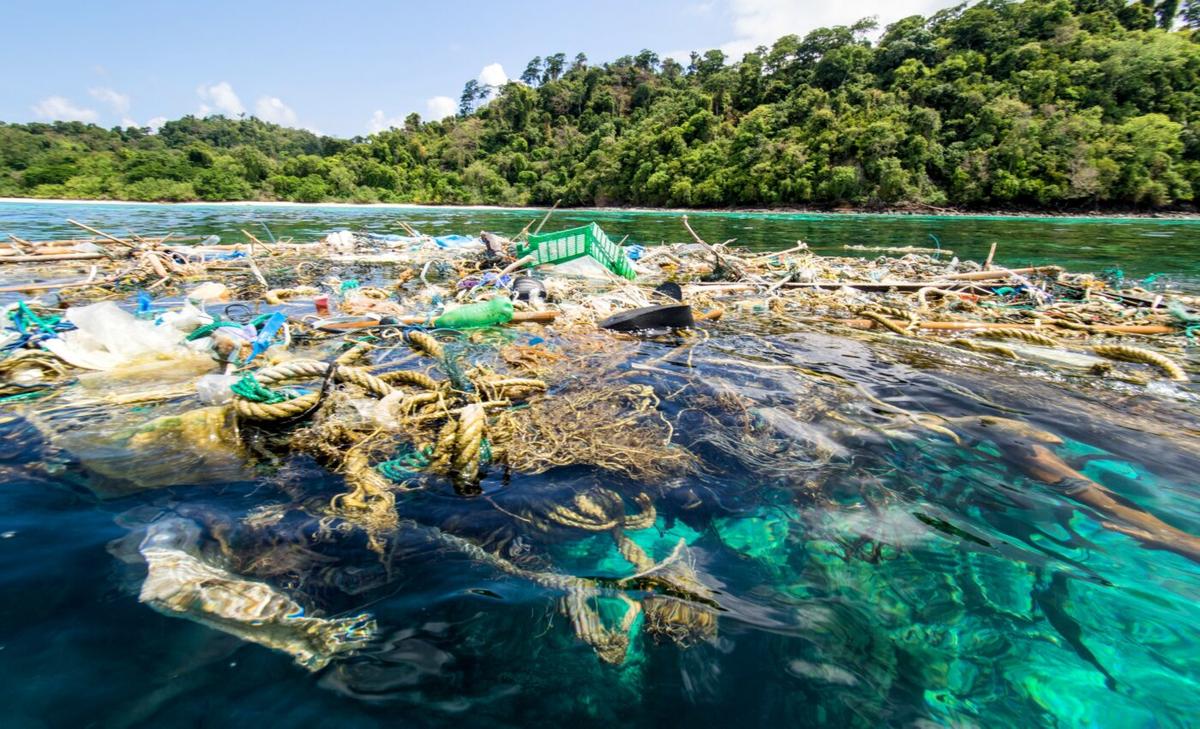 Coastal species form new communities on floating debris