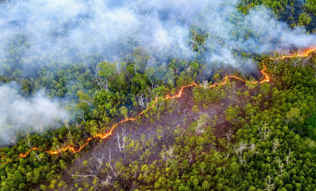 Restoration of peatlands can prevent billions in wildfire damage