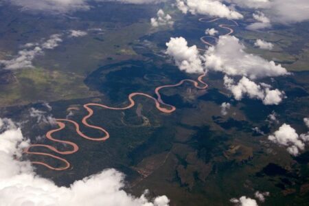 2021/12/Amazon-river-basin-768w.jpg