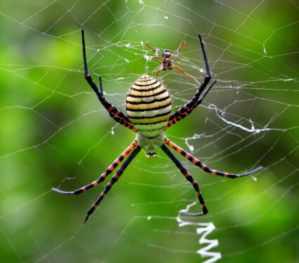 2021/12/shutterstock_19553152754.jpg