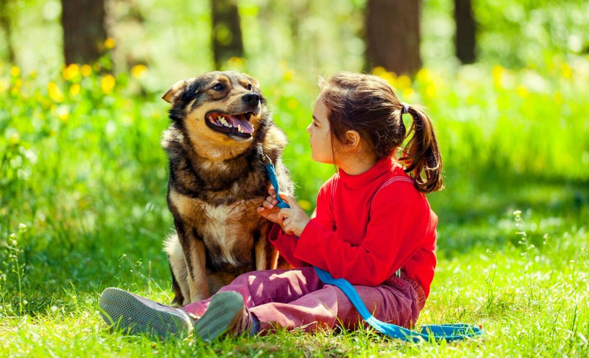 Dogs can understand up to 215 words