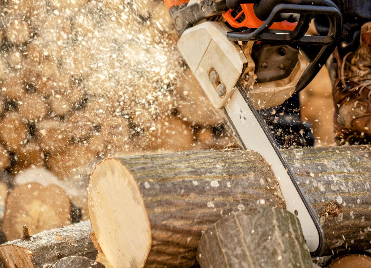 Sawdust shows great potential for capturing carbon