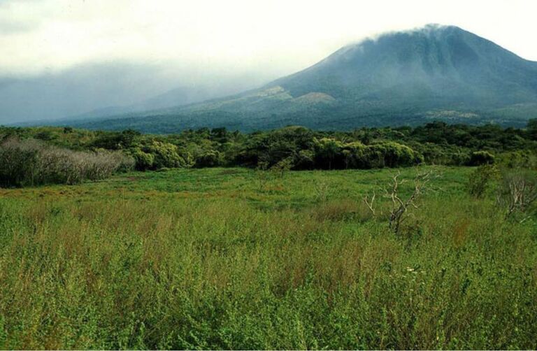 Strengthening The Planet