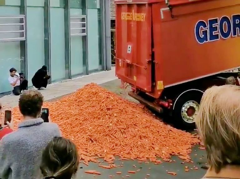 An Endless Flow of Carrots