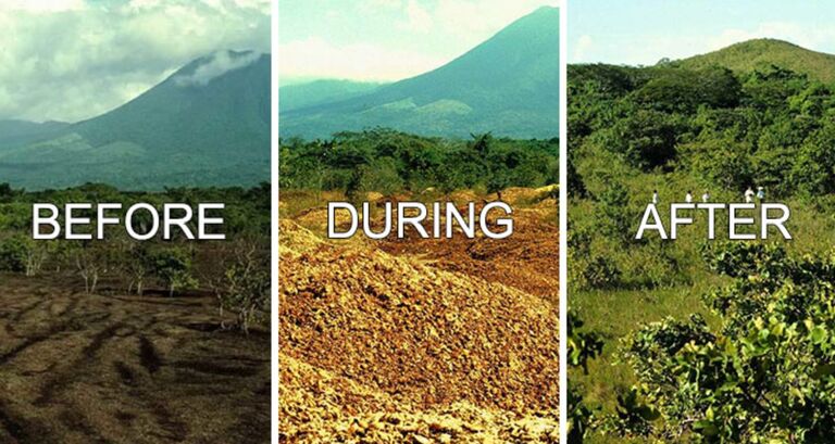 Environmental Studies