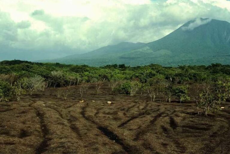 Beginning In Costa Rica