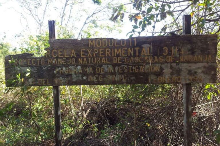 Discovering Direction