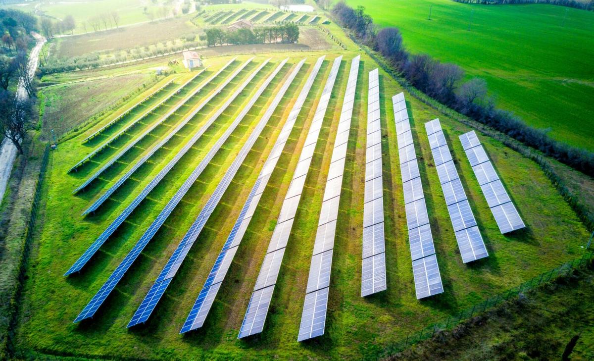 Solar parks could boost bumblebee populations