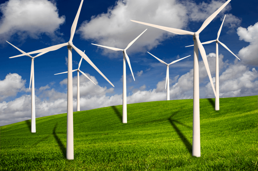 Wind turbines kill more female and juvenile bats