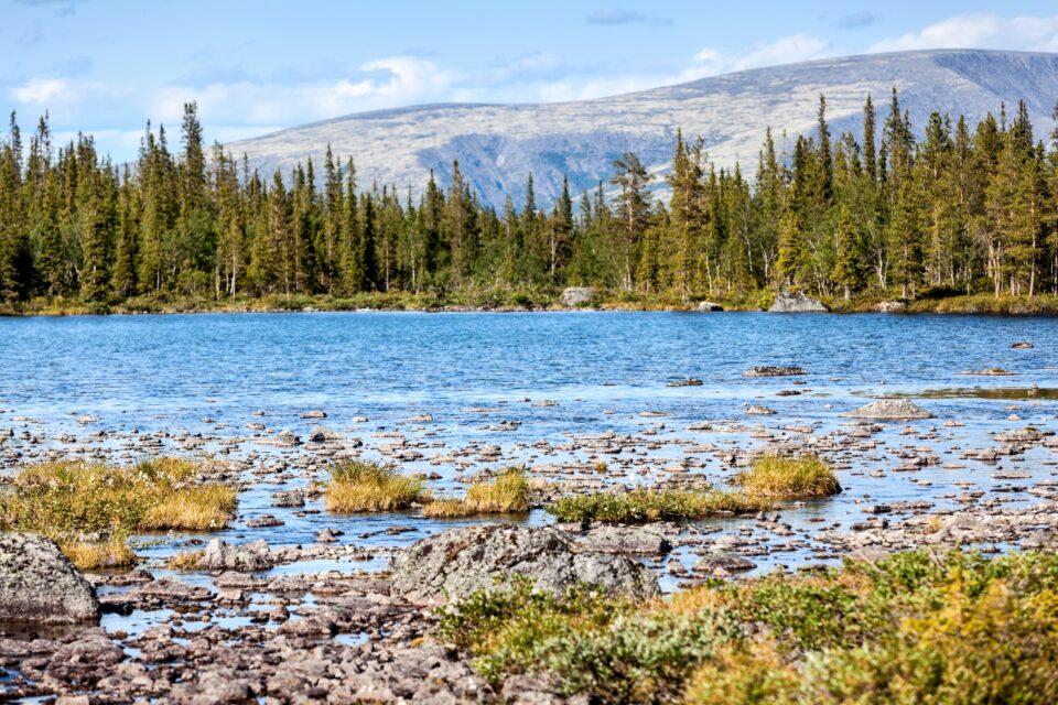 Meltwater influences carbon storage in the Arctic