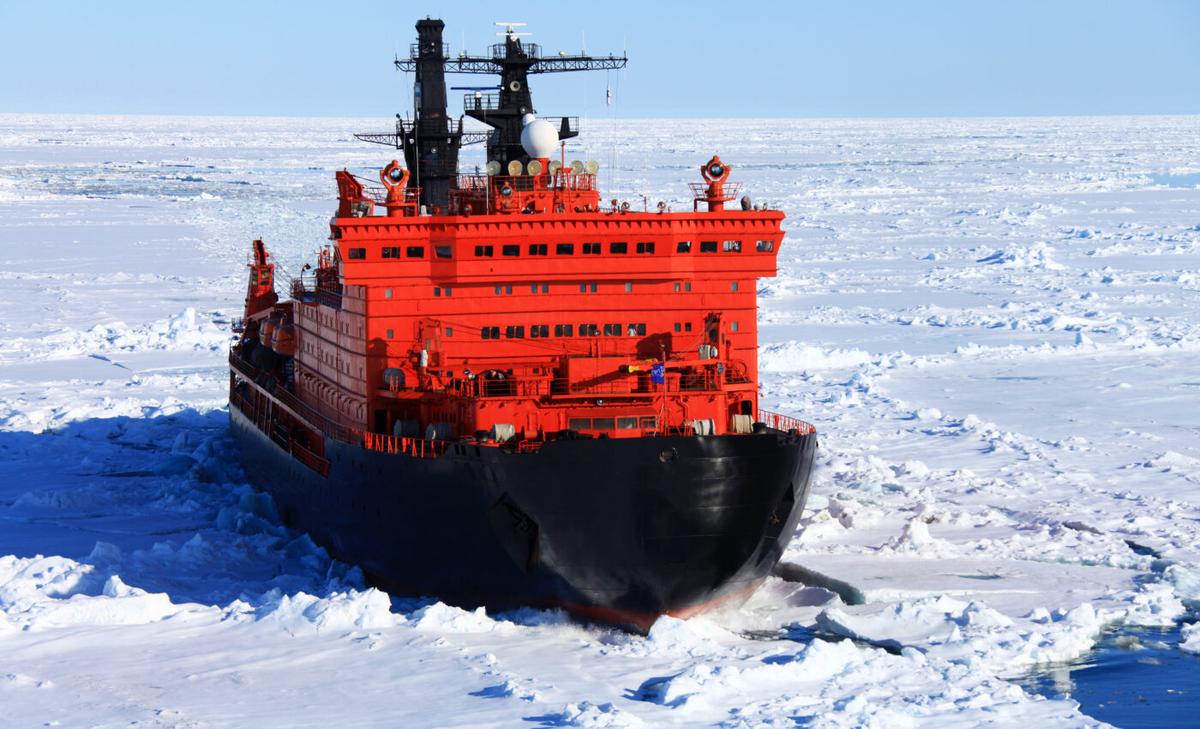 Increased human traffic is a threat to rare narwhals