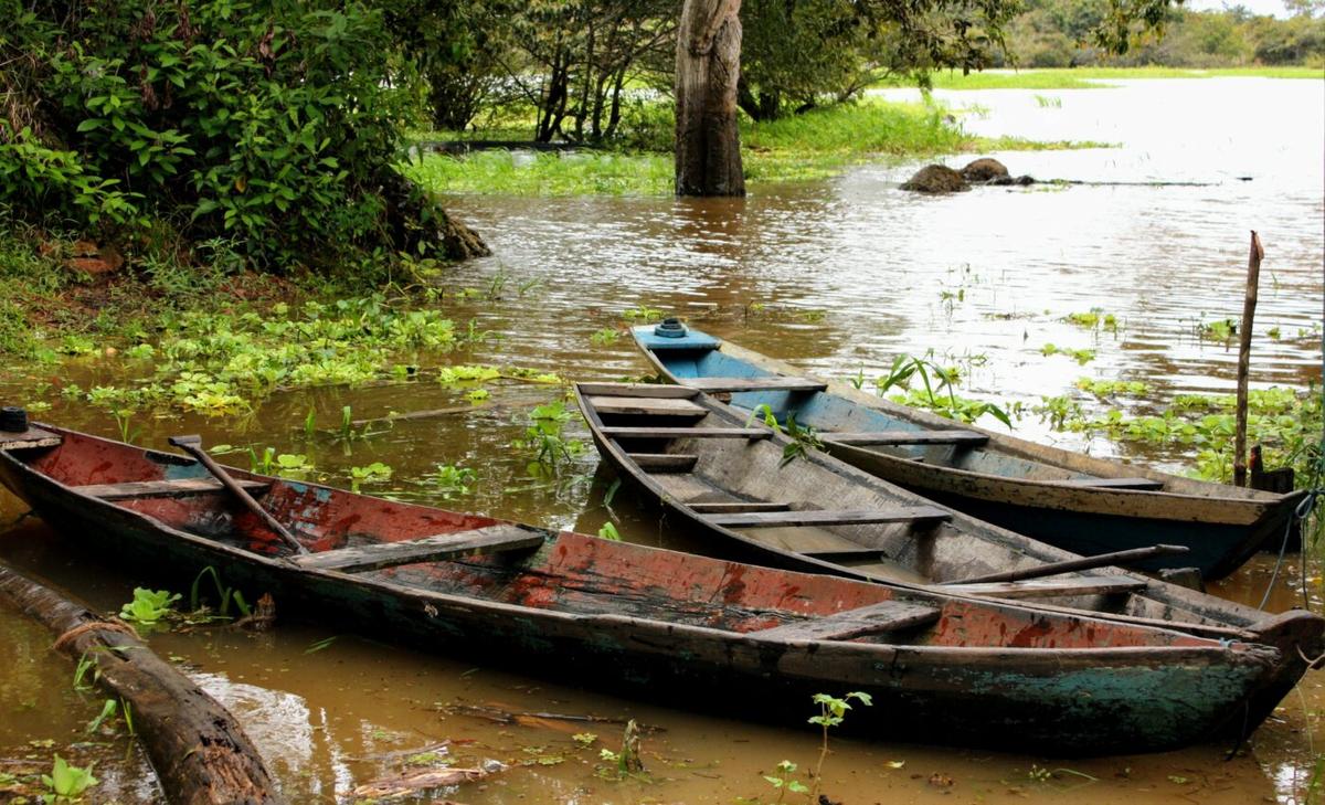 Isolated Indigenous people deserve protection