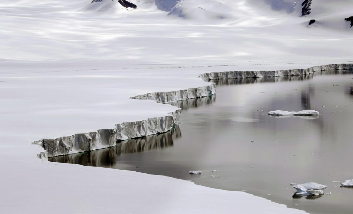 Dozens of species found thriving under vast ice sheets