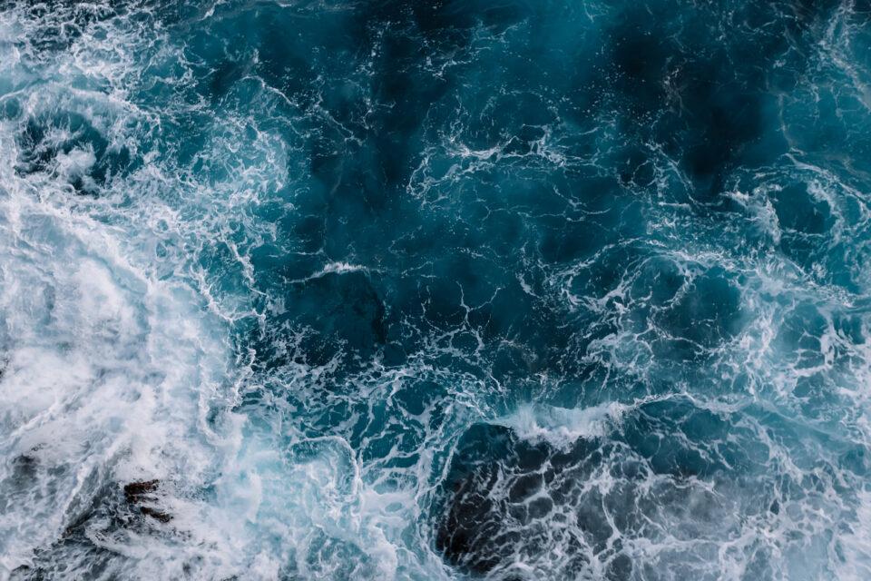 Massive groups of fish create waves to deter predators