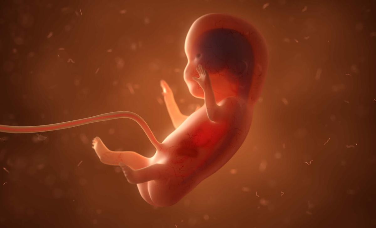 The battle of the sexes begins in the womb