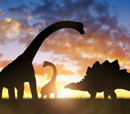 Silhouette,Of,Dinosaurs,In,The,Sunset.