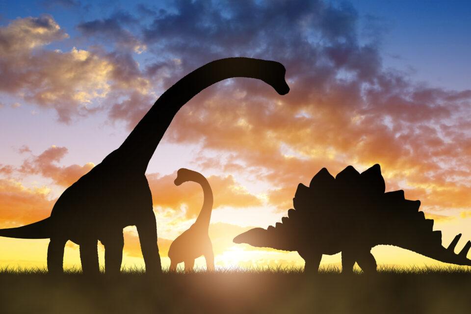 Fascinating dinosaurs were discovered in 2021
