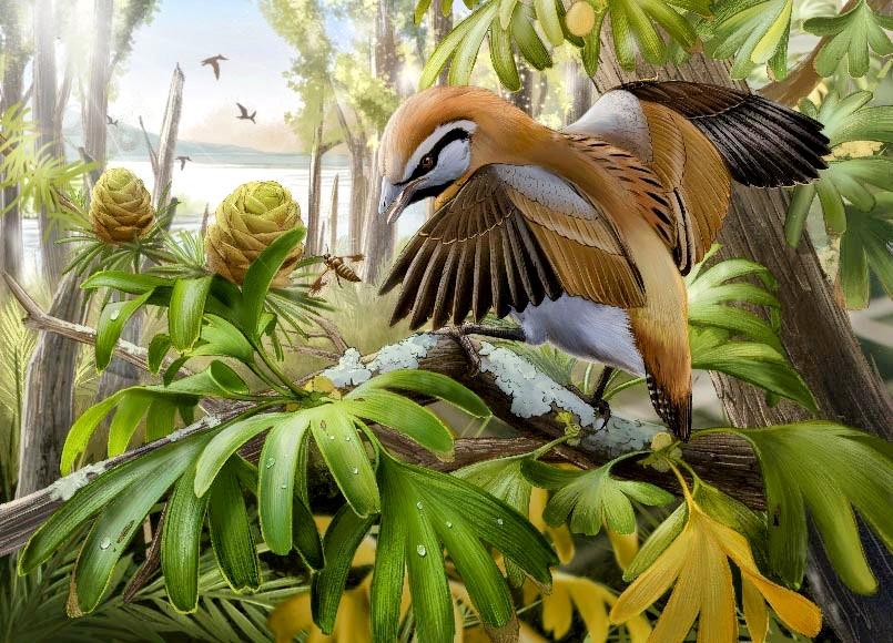 A prehistoric bird had a tongue as long as its head