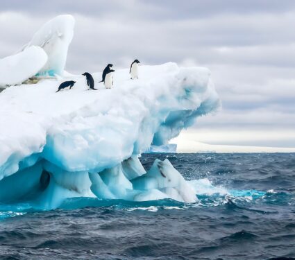 Southern-Ocean3.jpg