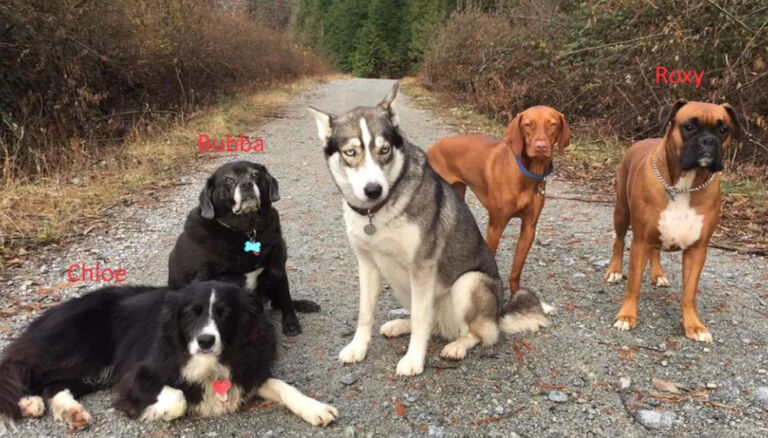 How the drama started