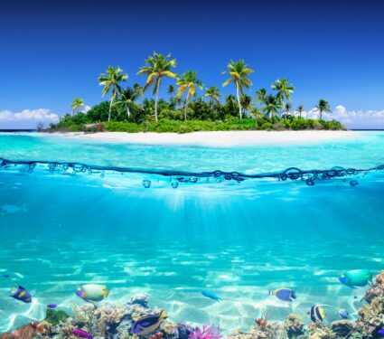 2022/01/Coral-3.jpg