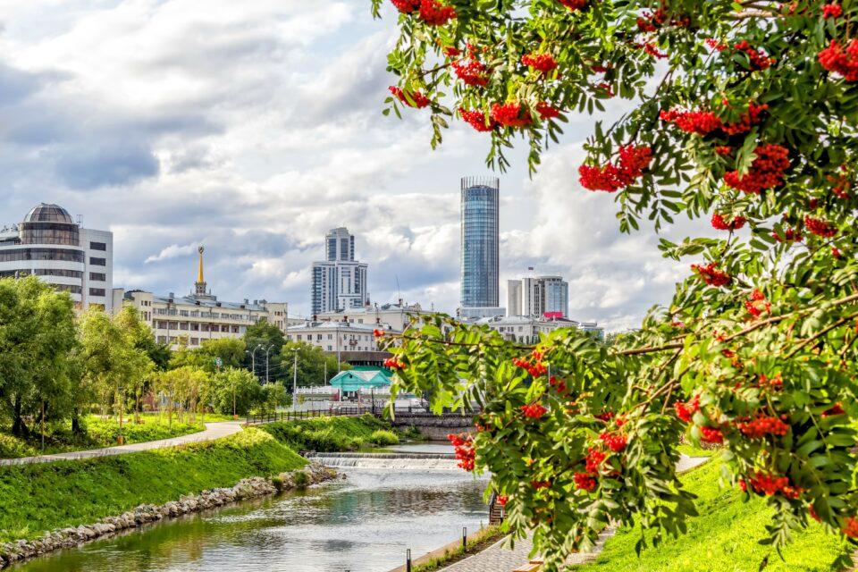 Urban gardens provide a reliable food supply for pollinators