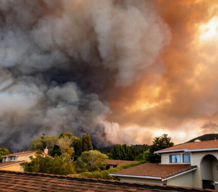 Wildfire.jpg