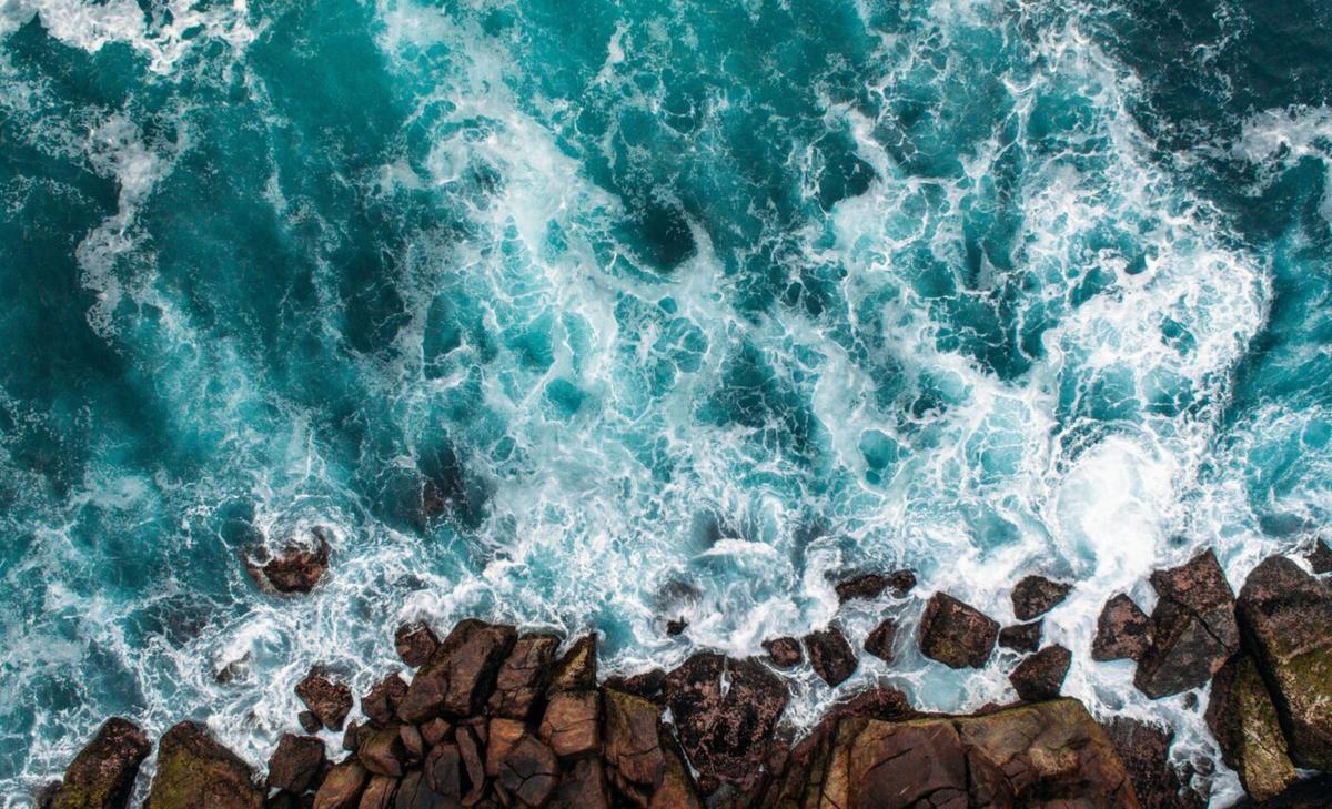 Marine food chains threatened by ocean acidification