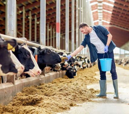 Dairy-farmers.jpg