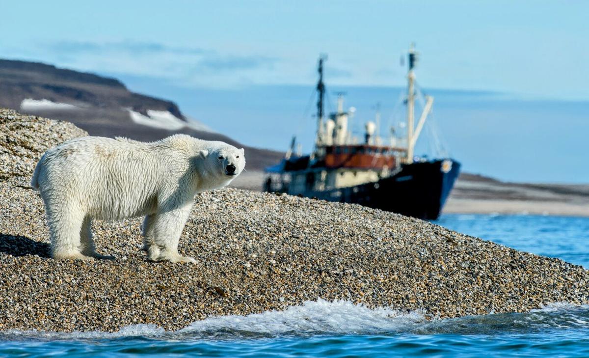 Rising temperatures are transforming Arctic coasts