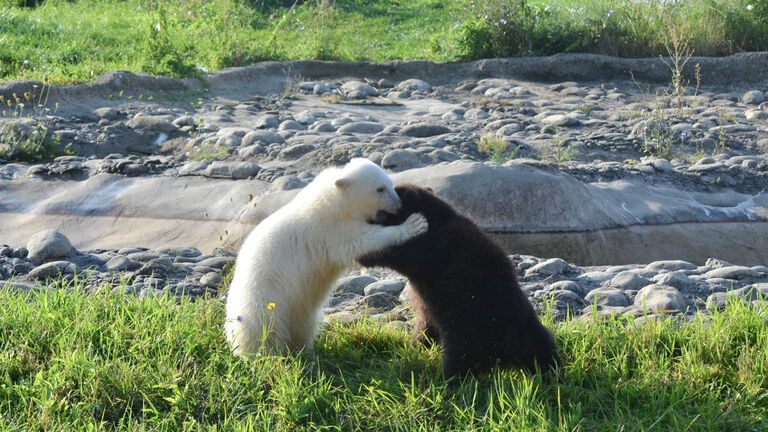 “Critically important”