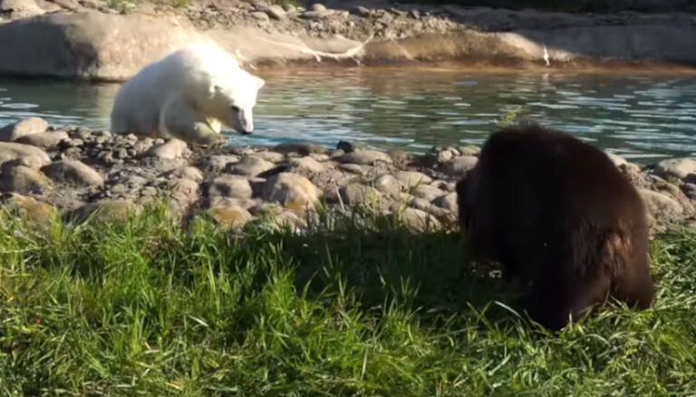 “Beyond precious!”