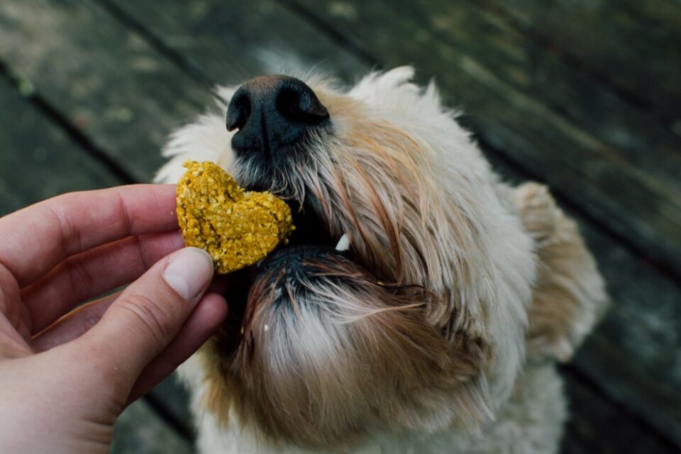 A little snack